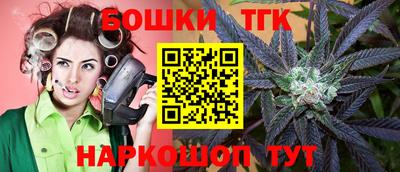 гашик Новодвинск