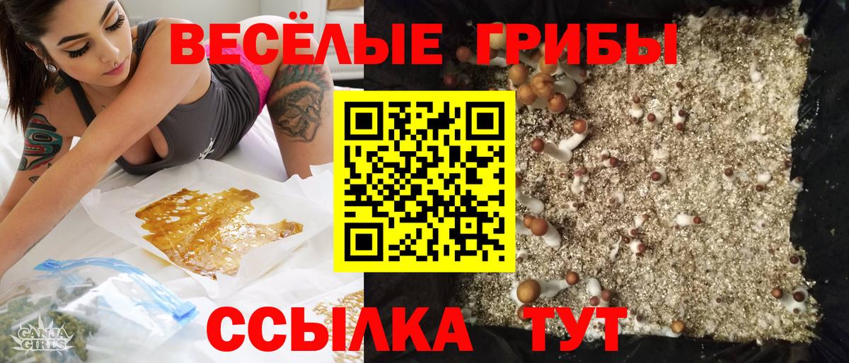 Псилоцибиновые грибы мицелий Печора