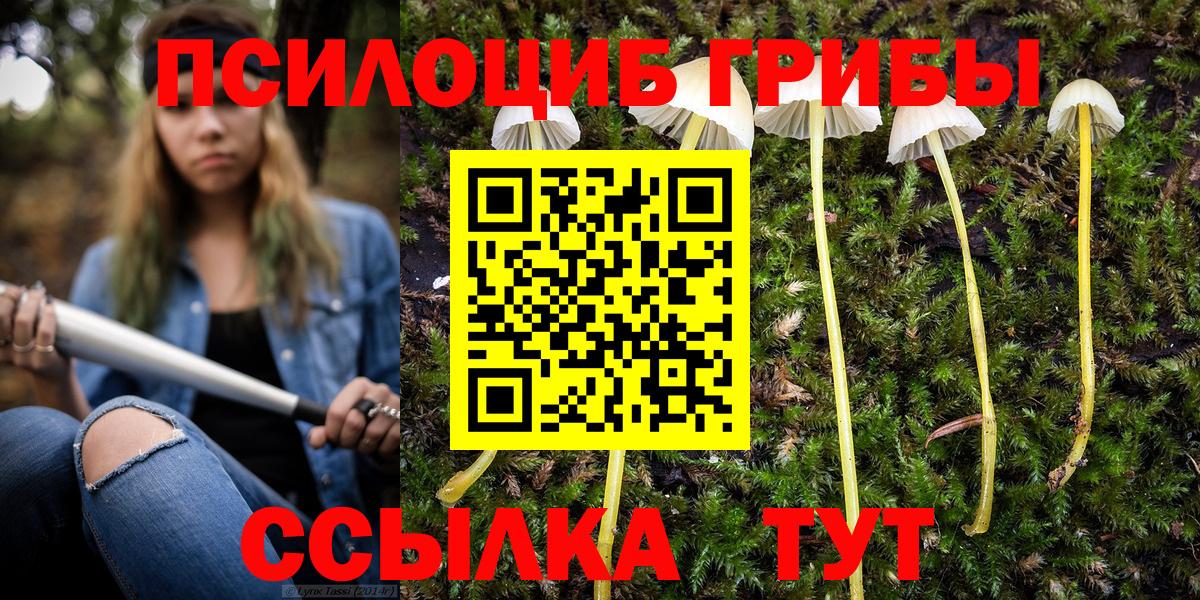 Галлюциногенные грибы GOLDEN TEACHER  Вход с VPN  Печора 